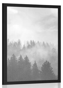 Poster ceață deasupra pădurii în design alb-negru