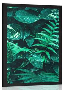 Poster frunze tropicale proaspete