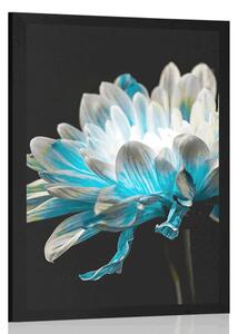 Poster margarete pe fundal negru