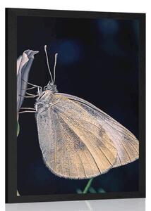 Poster fluture pe floare