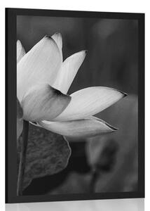 Poster floare delicată de lotus în design alb-negru