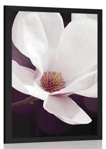 Poster flori de magnolie pe fundal abstract