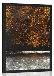 Poster reflecția frunzelor în lac