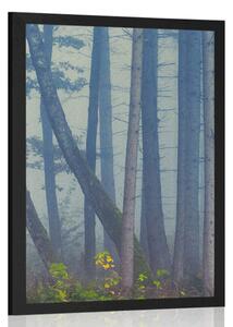 Poster pădure misterioasă