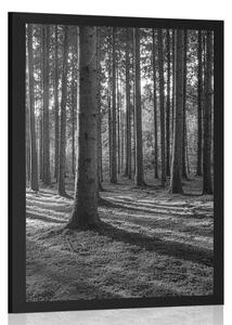 Poster dimineață în pădure în design alb-negru