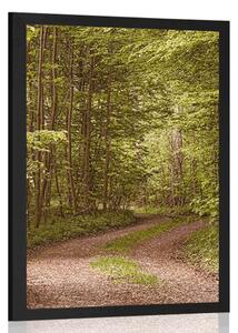 Poster pădure verde