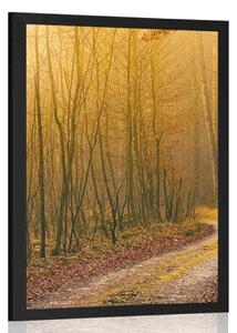 Poster potecă spre pădure
