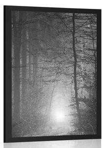 Poster lumină în pădure în design alb-negru
