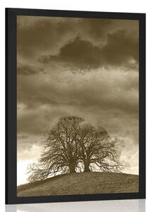 Poster copaci singuratici în sepia