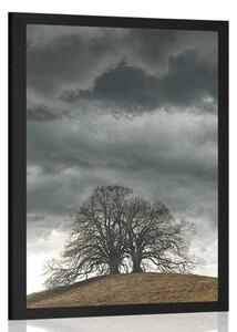 Poster copaci singuratici