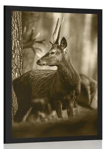 Poster cerb în pădure de pini în design sepia