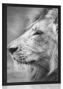 Poster leul african în design alb-negru
