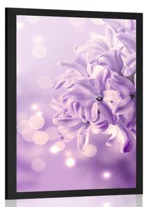 Poster floare violetă de liliac