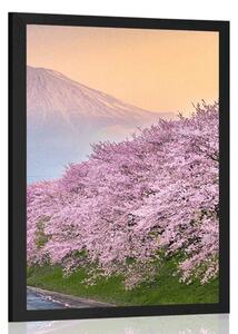 Poster Japonia frumoasă