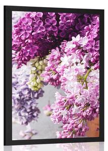 Poster liliac în nuanțe de roz