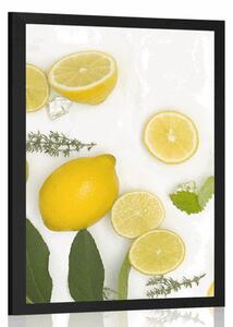 Poster amestec de fructe citrice