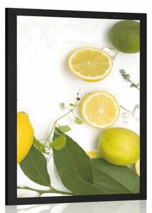 Poster mix de fructe citrice