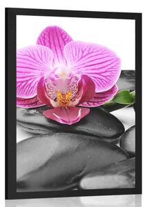 Poster pietre wellness de masaj
