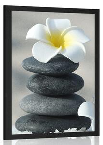 Poster pietre armonioase si o floare de plumeria