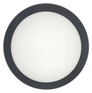 Plafonieră LED cu senzor de mișcare LED/20W/230V 3000/4000/6500K IP54 antracit