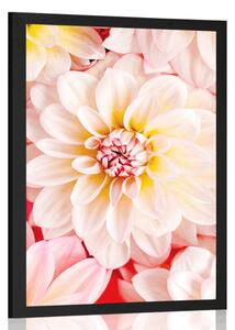 Poster flori de dalia pastelate