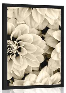 Poster flori de dalia în design sepia