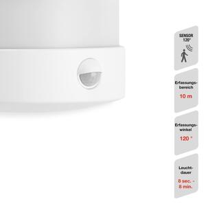 Telefunken 315506TF-LED Aplica de exterior cu senzor, LED 12W, 230V, IP44
