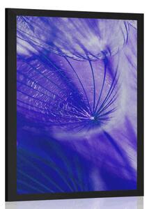 Poster păpădie frumoasă în design violet