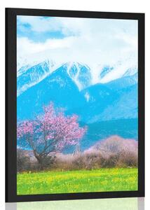 Poster copac magic în mijlocul munților