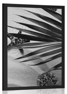 Poster scoici sub frunze de palmier în design alb-negru