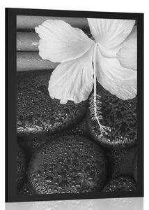 Poster natură moartă wellness în design alb-negru
