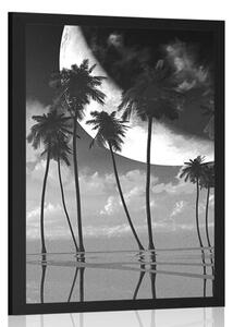 Poster apus de soare deasupra palmierilor tropicali în design alb-negru