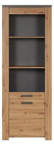 Vitrina FOLLOW, stejar artizanal, PAL/sticla, cu 2 usi, 70x40x199 cm