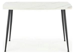 Masa MARCO, alb/negru, 120x70x77 cm