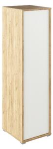 Dulap RIOMA TYP 20, stejar artisan/alb, DTD laminat, cu o usa, 50x55x1
