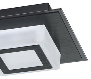 Eglo 99362 - Plafonieră LED MASIANO 2xLED/3,3W/230V