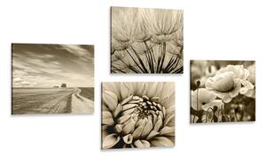 Set de tablouri câmp cu flori în design sepia