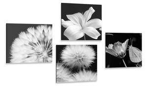 Set tablouri frumusețea florilor în alb-negru cu fluture