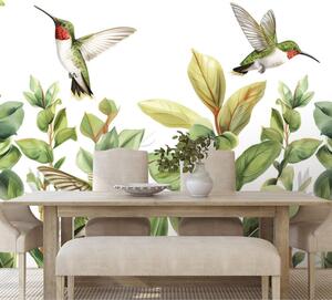 Tapet colibri si frunze