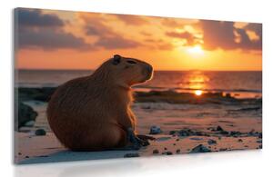 Tablou capybara la apus