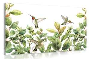 Tablou colibri si frunze