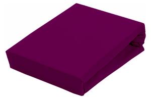 Aga Cearșaf JERSEY 90x200 cm Culoare cearșaf: Mov închis