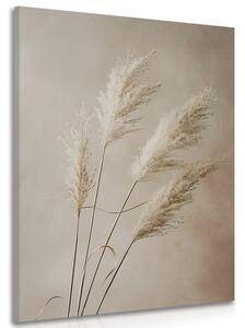 Tablou iarba uscată de pampas