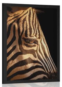 Poster portretul unei zebre