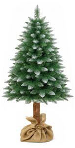 Aga Brad de Crăciun 150 cm cu trunchi