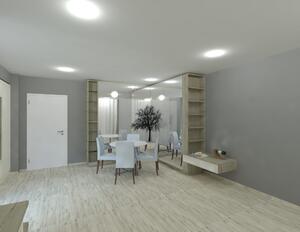 Proiect design living MARIA