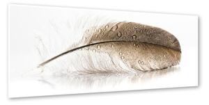 Tablou Styler Glasspik Wings, 50 x 125 cm