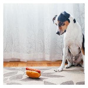 Jucărie pentru câine Hot Dog – P.L.A.Y