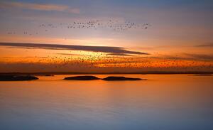 Fotografie de artă by sunset, Piotr Krol (Bax), (40 x 24.6 cm)