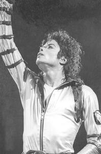 Fotografie de artă Michael Jackson on stage in Nice, French Riviera, August 1988, ., (26.7 x 40 cm)